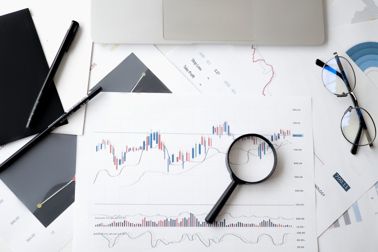 Loyalty Program Data: Statistics, How to Leverage, Optimization